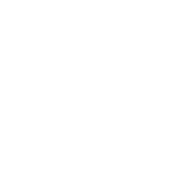 globalicon1