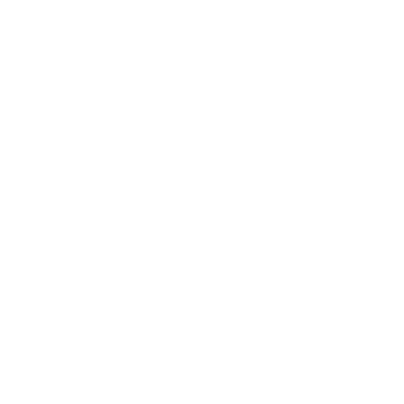 globalicon2