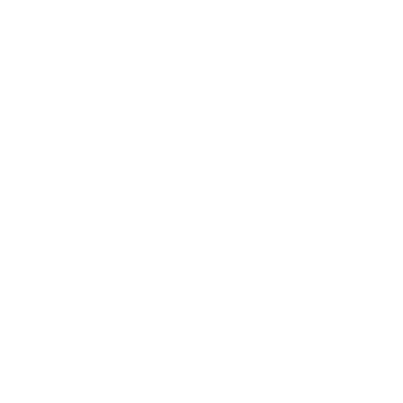 globalicon4